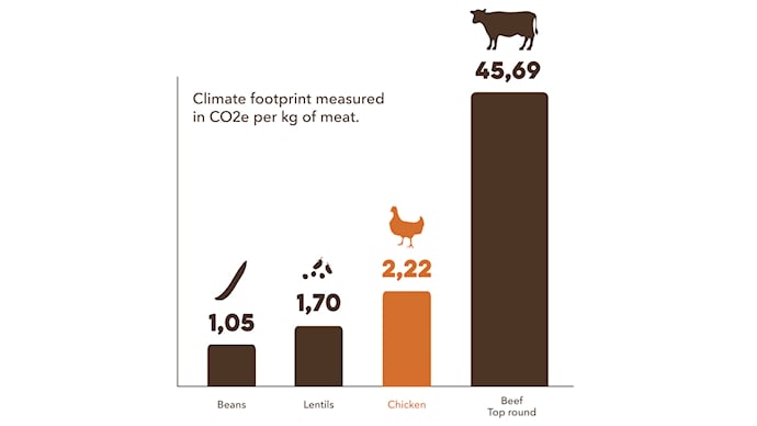 CHICKEN AND THE CLIMATE